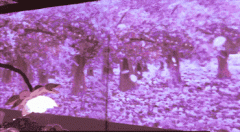 让你体验在海底，森林进餐，沉浸式3d全息餐厅