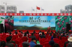 五指山农产品推介会“饮食 文化”亮点纷呈