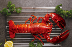 红龙虾red lobster 首次亮相上海 与丰华味汇餐饮集团合作扩展大中华区业务