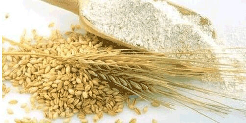 “餐饮美食”平台给您不一样的美食之旅